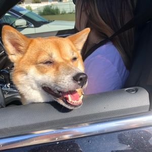 Meet your Posher, Olivia